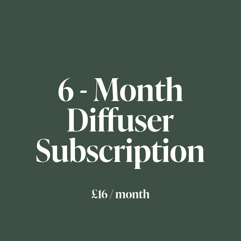 6 Month Reed Diffuser Subscription