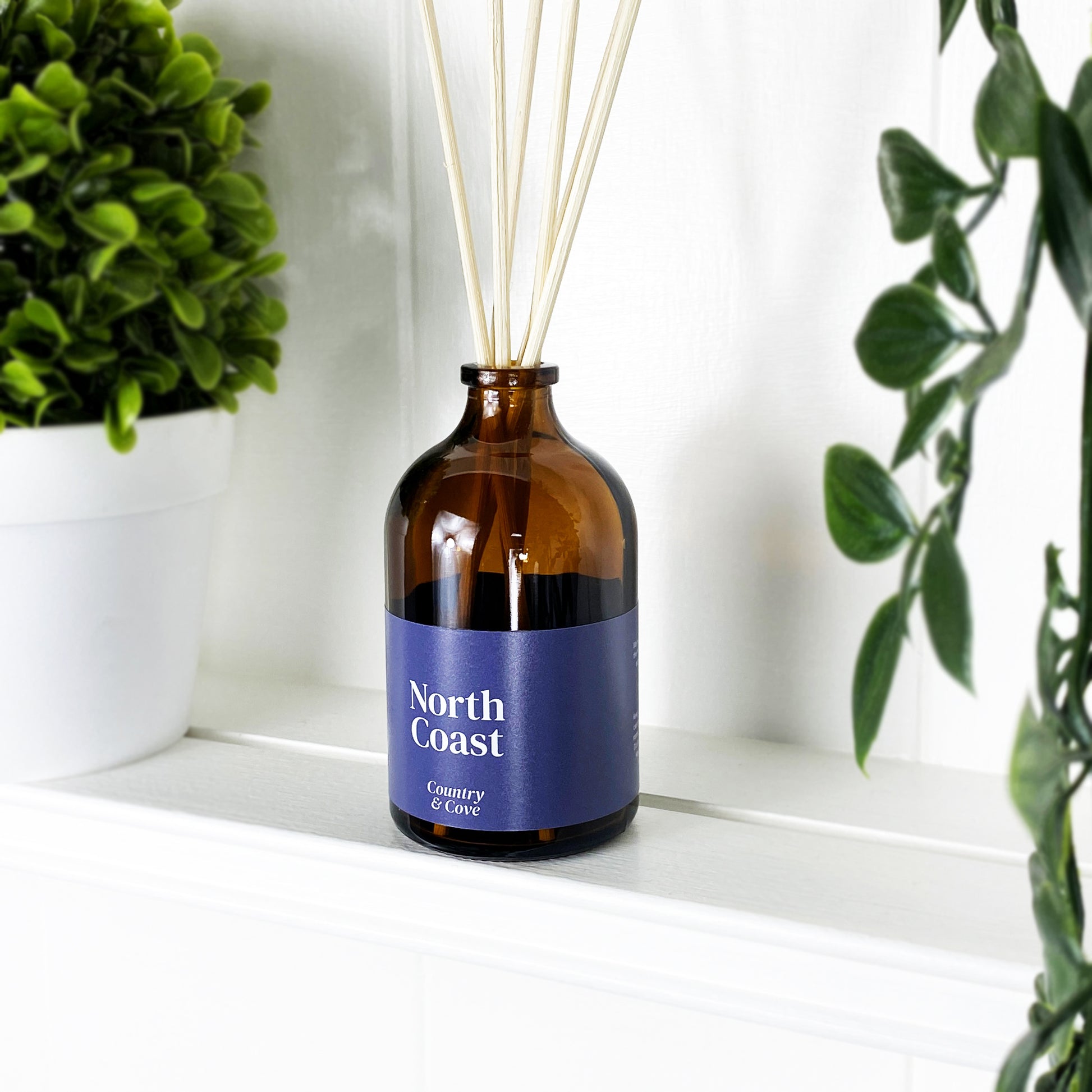 North Coast Reed Diffuser with Rock Salt and Driftwood Fragrance